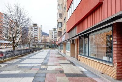 Apartament cu 2 camere decomandat, mobilat în Răcădău - 6