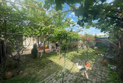 Casă cu 5 camere cu Teren 280 Mp în Pantelimon - 5