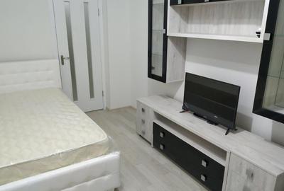 Garsoniera zona Virtutii - 4