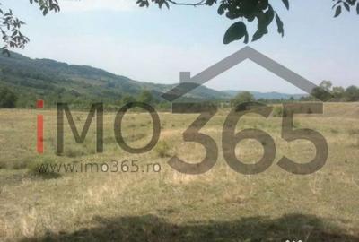 Teren de 150000 mp, în Mihăești - 1