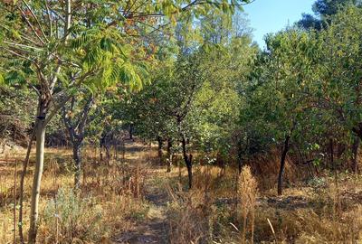 Casă cu 3 camere cu Teren 1274 Mp în Bragadiru - 2