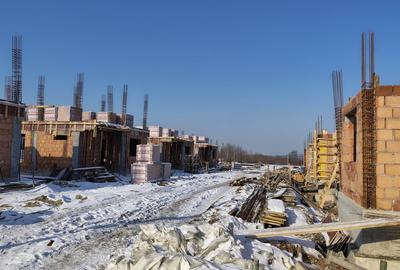 Vile individuale padurea Rosu - 15