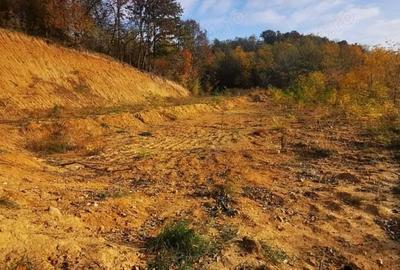 Teren intravilan 2 nivele PUZ spatii comerciale si locativ 1500 respectiv 2000 mp - 9