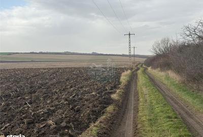 Spațiu comercial, în Șura Mică - 3