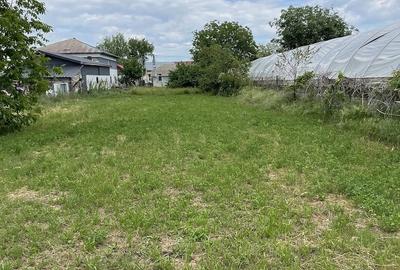 Casă cu Teren 2250 Mp în Brăniștari - 3