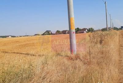 Teren de 2000 mp, în Brănești - 8