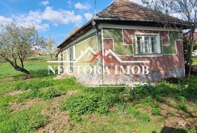 Casă cu 2 camere cu Teren 951 Mp în Paleu - 5