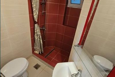 Romana metrou Piata Amezei,et.2/7,Amenajat,mobilat utilat complet - 4