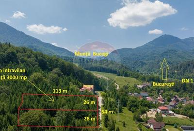 Teren de 3000 mp, în Dâmbul Morii - 5