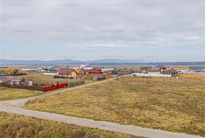 Teren 1000 mp Harman - 5