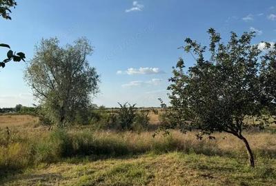 Casă cu 3 camere în Cruceni - 6