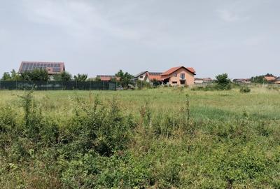 Teren Mosnita Noua in spate MCity 603 mp Teren Mosnita Noua in spate MCity 603 mp - 5