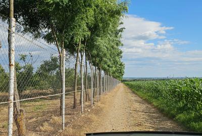 Teren de 140000 mp, în Arva - 3
