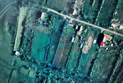 Teren intravilan 2.192 mp cu front 20 m – Seceani, Timiș - 5