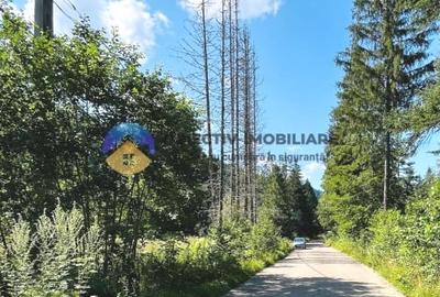 Teren TARCǍU - SCHITU,judetul NEAMȚ - 3