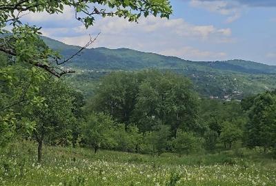 Teren Construcții intravilan de 1650 mp, în Ghioșești - 1