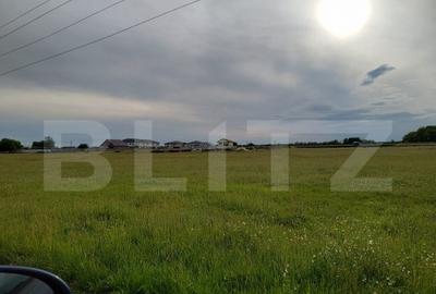 Teren 1000 mp , zona Carcea, Hanul cu ponei - 2