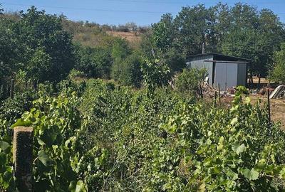 Teren de 1800 mp, în Foltești - 2