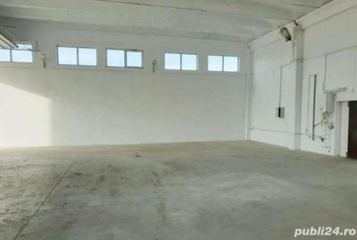 Spațiu comercial, de 500 mp, în Șagului - 1