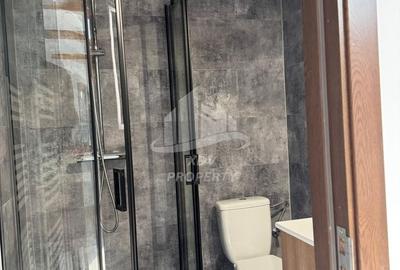 Pensiune/ Vila Valea Avrigului - 13