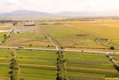 Teren extravilan Lunca Calnicului langa E574 - 6