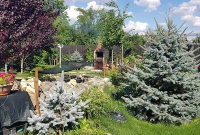 Casă individuală cu 5 camere cu Canalizare în Berceni - 14