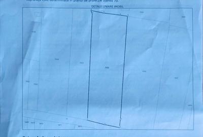 Teren intravilan  - Albota, Arges - 1