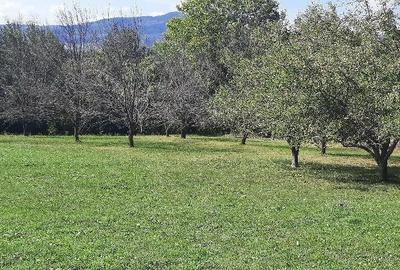 Teren de 1800 mp, în Breaza de Sus - 2