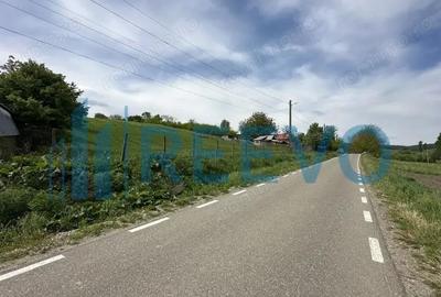 Teren de vanzare, Sat Valea Mare, Com. Ro?iori, Bacau - 4