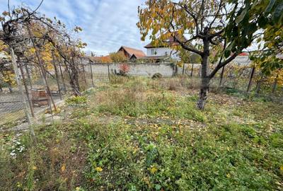 Casa saseasca, 3 camere, 700 mp teren, Sebe?. Farmec vec - 2