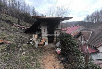 Casă cu Teren 180 Mp în Muncitoresc - 10