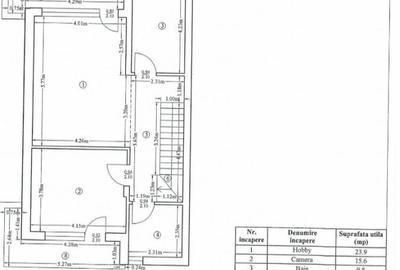 Duplex cu 6 camere cu Canalizare în Iancu Nicolae - 22