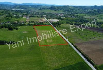 Teren de 69700 mp, în Tigveni - 20