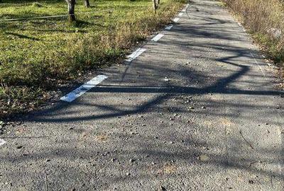Teren de 3300 mp, în Coșbuc - 3