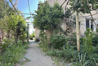 Casă cu Teren 954 Mp în Iosefin - 6