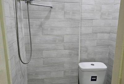 Garsonieră în Pantelimon