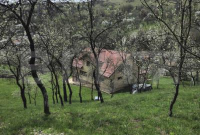 Casă cu 5 camere cu Teren 3000 Mp în Runcu - 13