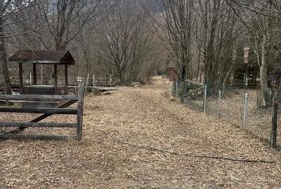 Spațiu comercial, în Mărișel - 1