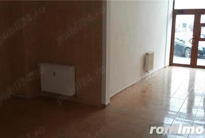 Spatiu comercial SAD b-dul Dragalina-Iosefin - 1