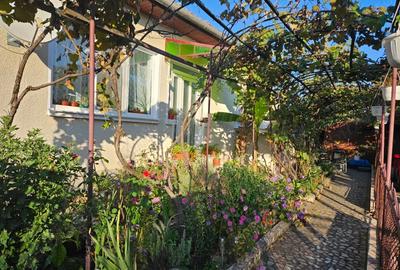 Casă cu 2 camere în Hărău - 3