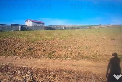 Teren de 5000 mp, în Șimnicu de Sus - 1