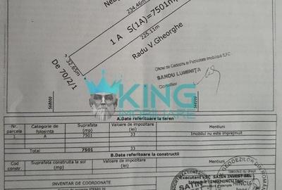 Teren Construcții intravilan de 13000 mp, în Ciorogârla