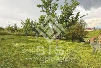 Teren Intravilan 1154 mp- Centura - 7