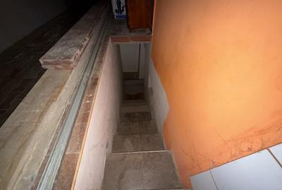 CASA 4 CAMERE, 2 BAI , BECI , MAGAZIE , 500 MP TEREN , LUNCA CETATUII - 16