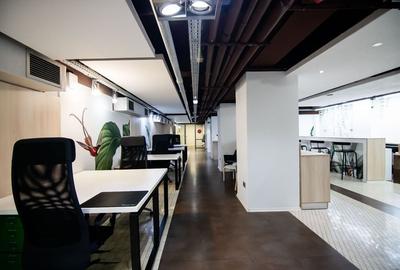 SPATIU UNIC KISELEFF - 3