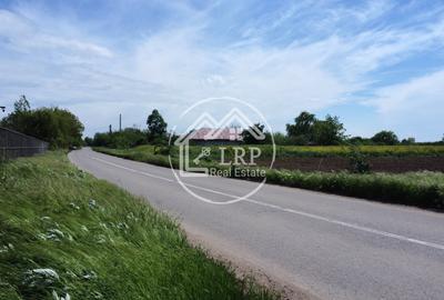 Teren Construcții intravilan de 15500 mp, în Creața - 11