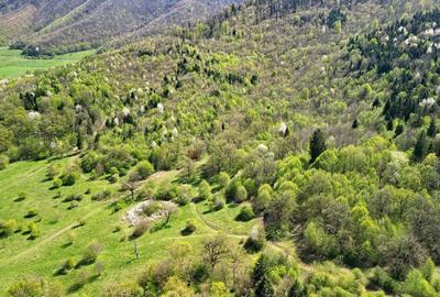 Teren Construcții intravilan de 5500 mp, în Cristian - 18