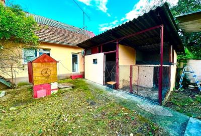 Două case la curte comuna, 700mp teren, Bocșa Montană (Str Reșiței) - 14