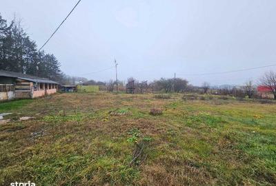 Teren de 2500 mp, în Gura Ocniței - 6