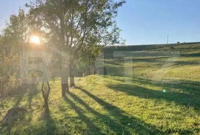 Casa cu 10000mp de teren in Buza, la 50 km de Cluj-Napoca - 3